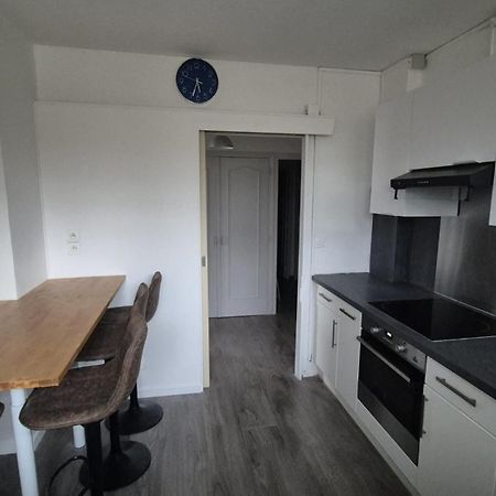 Appartement Spacieux & Paisible Meythet Esterno foto